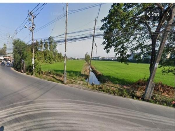 LS 994 ขายที่ดินแปลงใหญ่ 34 ไร่ 2 งาน  ถนนประชาสำราญ หนองจอก แปลงสวย ทำเลดี เข้าออกได้ 2 ทางหลัก ใกล้ที่ว่าการเขตหนองจอก