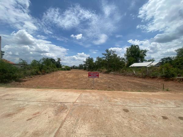 ขายที่ดิน บ้านโนนทอง อำเภอบัวใหญ่ จังหวัดนครราชสีมา เนื้อที่ 2 ไร่
