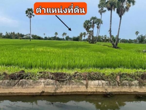 ขายที่ดิน 3 ไร่ 28 ตรว.ทำเลทองแห่งความสงบ ต.บ้านหาด อ.บ้านลาด เพชรบุรี