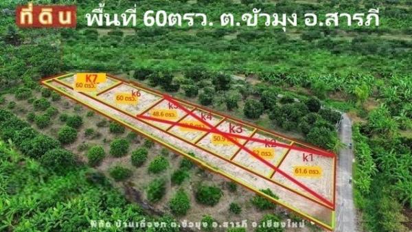 ขายที่ดินแบ่งจัดสรร 60ตรว. ลดเหลือ 294,000บ. ฟรีโอน ถนน น้ำ ไฟฟ้า ใกล้วัดขัวมุง ต.ขัวมุง อ.สารภี เชียงใหม่