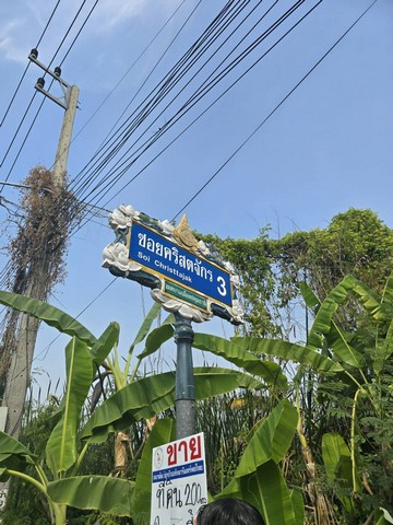 ขาย ที่ดิน - 200 ตร.วา 23000 บาท ใกล้กับ โรงเรียนปทุมวิไล ศาลากลางปทุมธานี โลตัสปทุมธานี โรงพยาบาลปทุมธานี อยู่ย่านใจกลางเมืองปทุม เขตชุมชน