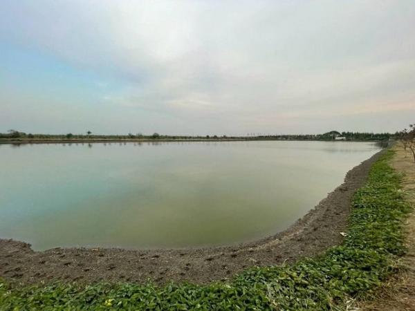 ขายที่ดินแปลงสวย สมุทรปราการ  ศีรษะจรเข้ใหญ่ บางเสาธง FP-L02531